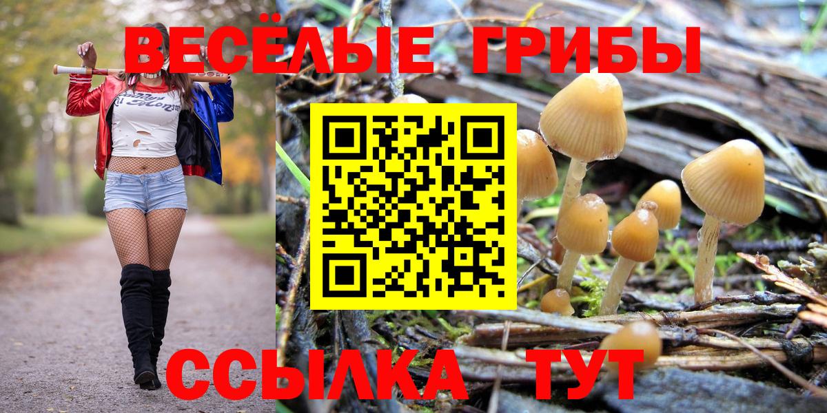 Галлюциногенные грибы Psilocybine cubensis Волоколамск