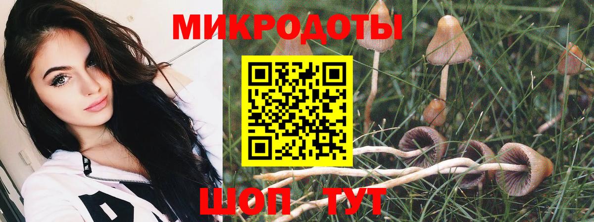 Галлюциногенные грибы GOLDEN TEACHER  Вход с VPN  Волоколамск 